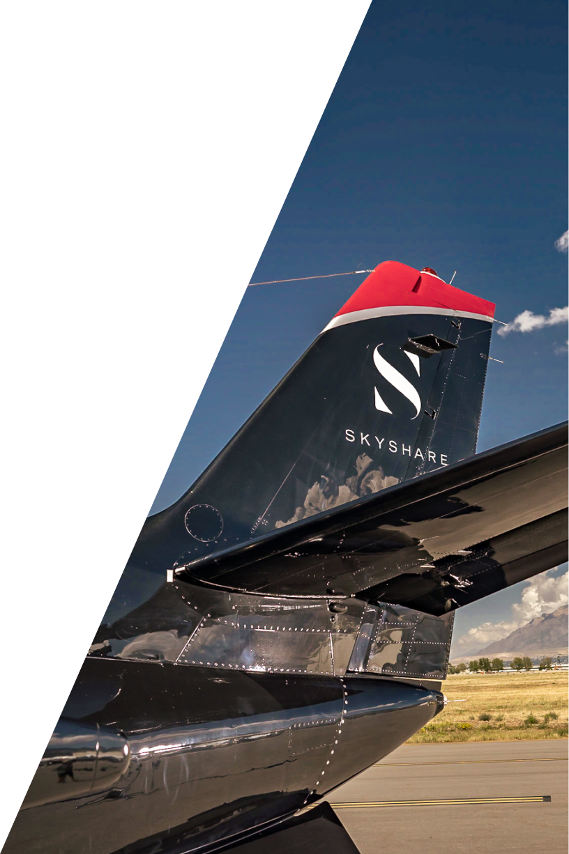 SkyShare Way to Fly